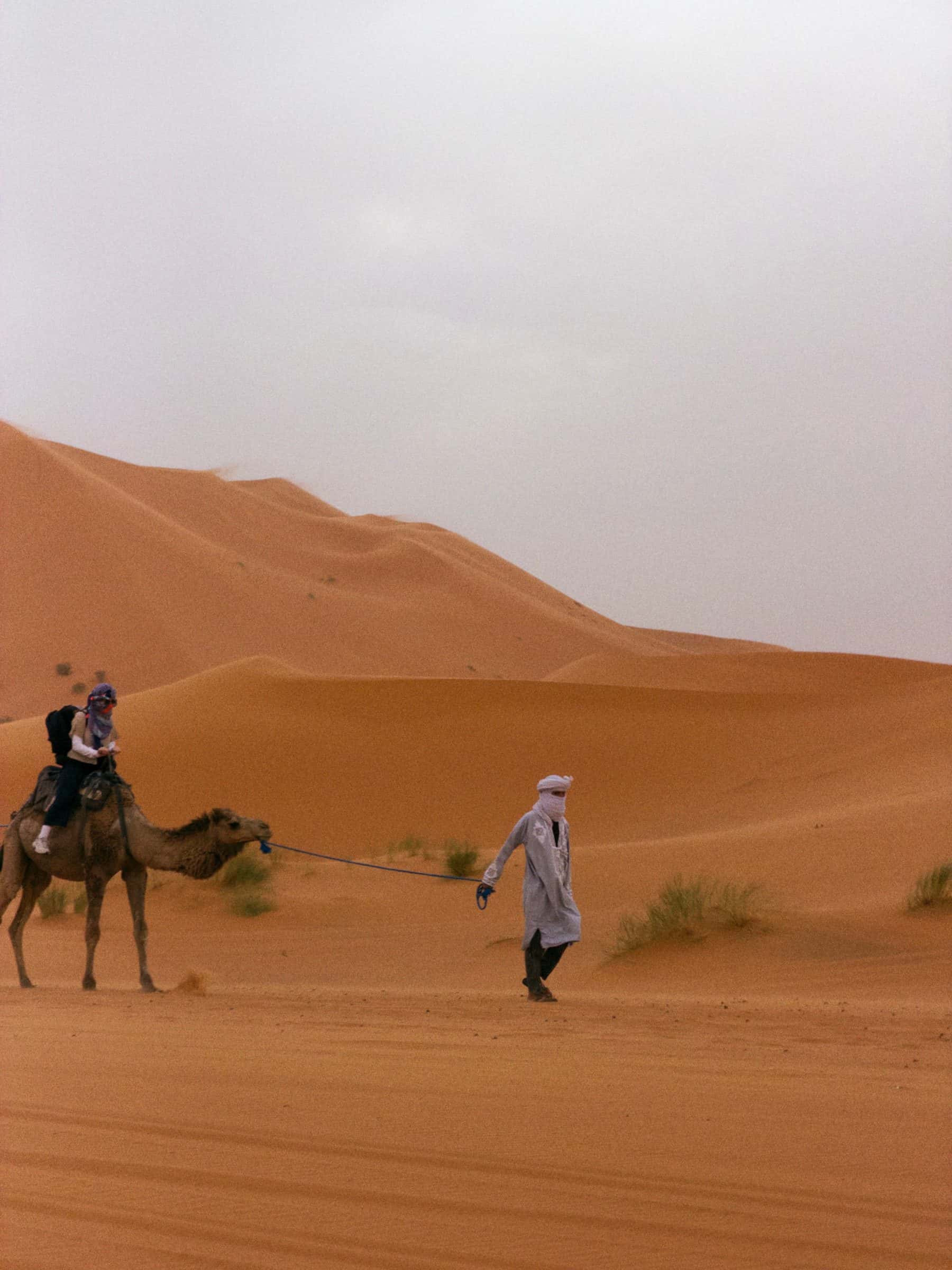 3 days tour from marrakech to fes via merzouga desert and camel trek