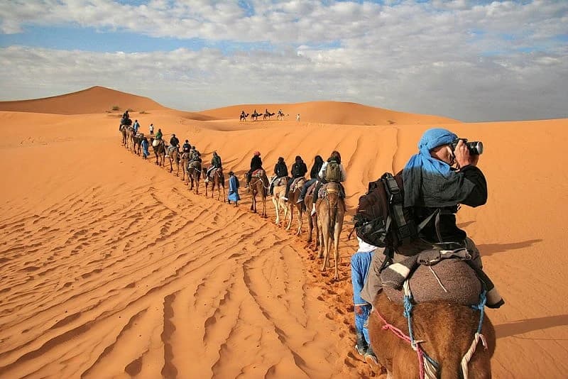 saharadesert