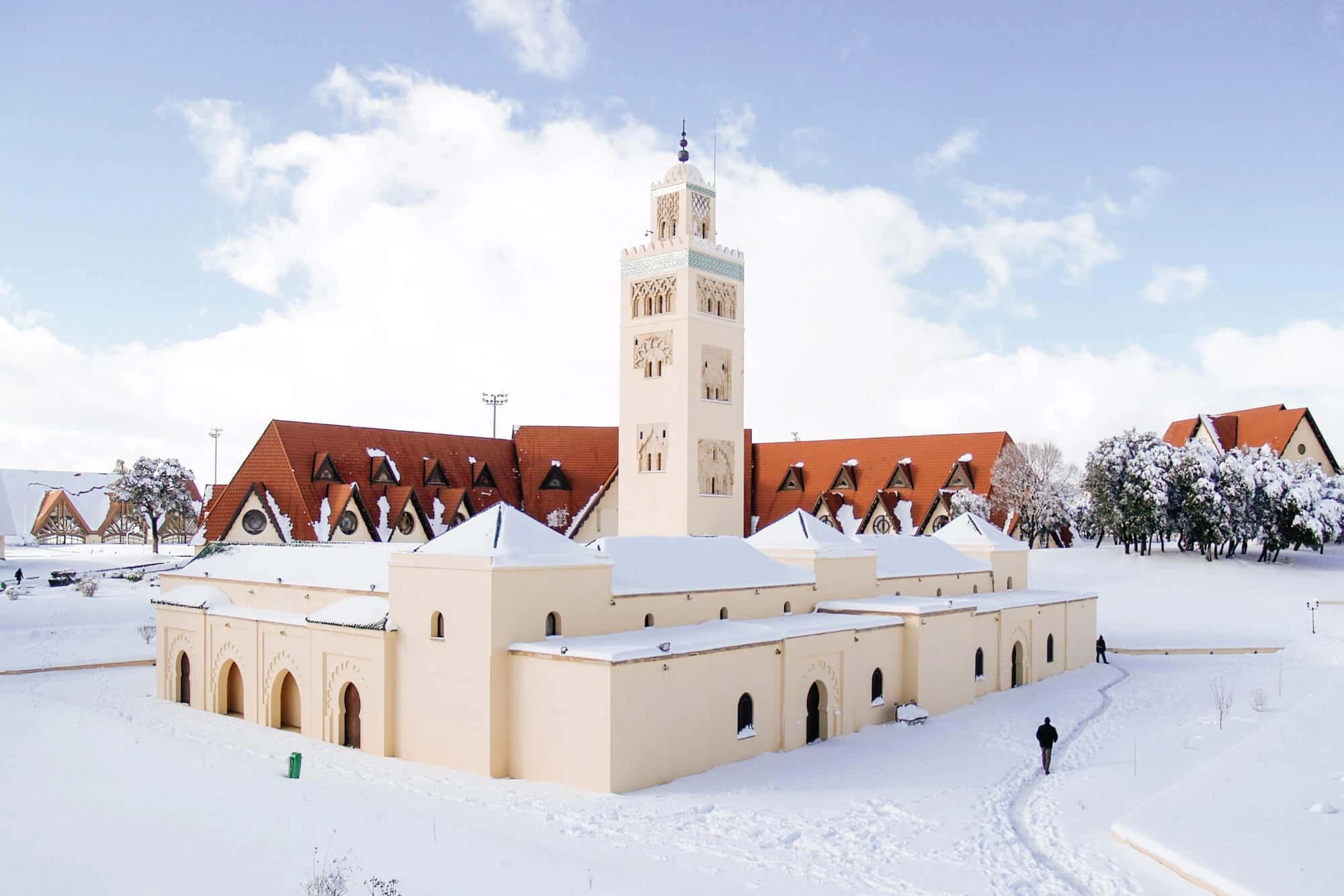 Full-Day Private Tour to Ifrane and Azrou from Fes
