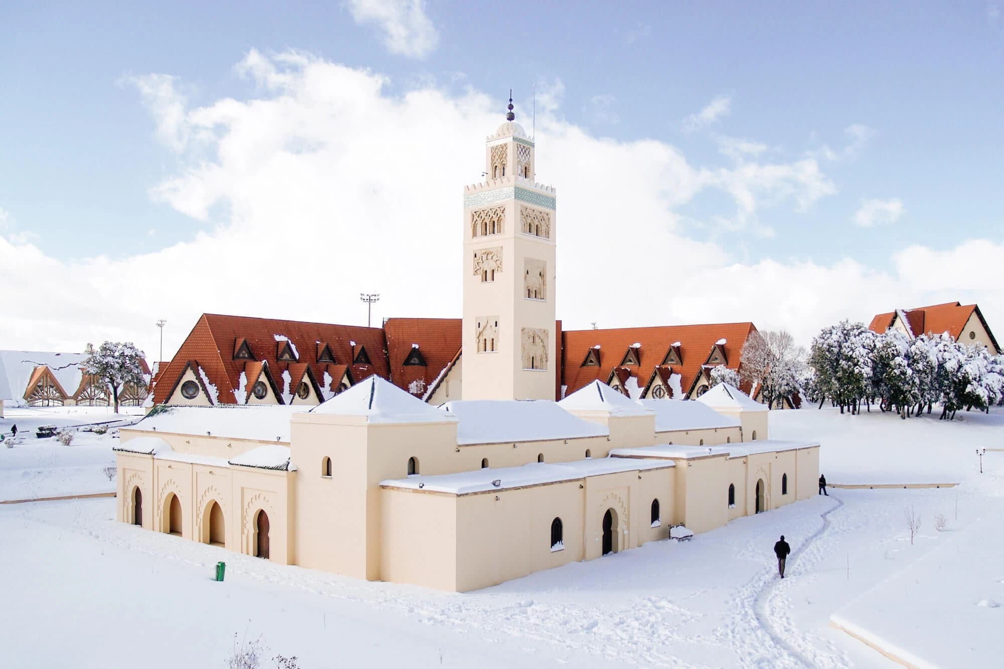 Full-Day Private Tour to Ifrane and Azrou from Fes