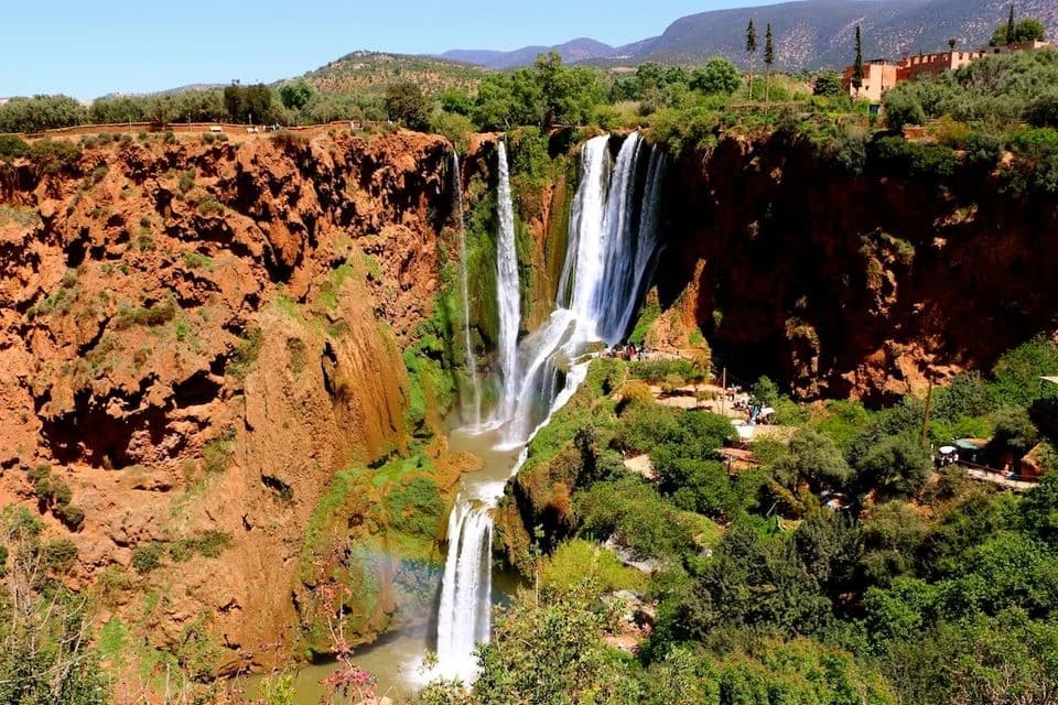 Full-Day Private Tour to Ifrane and Azrou from Fes