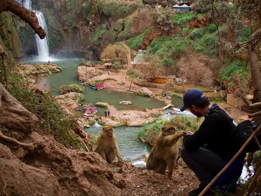Full-Day Private Tour to Ifrane and Azrou from Fes