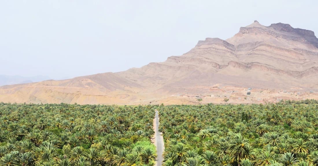 Draa Valley exploration