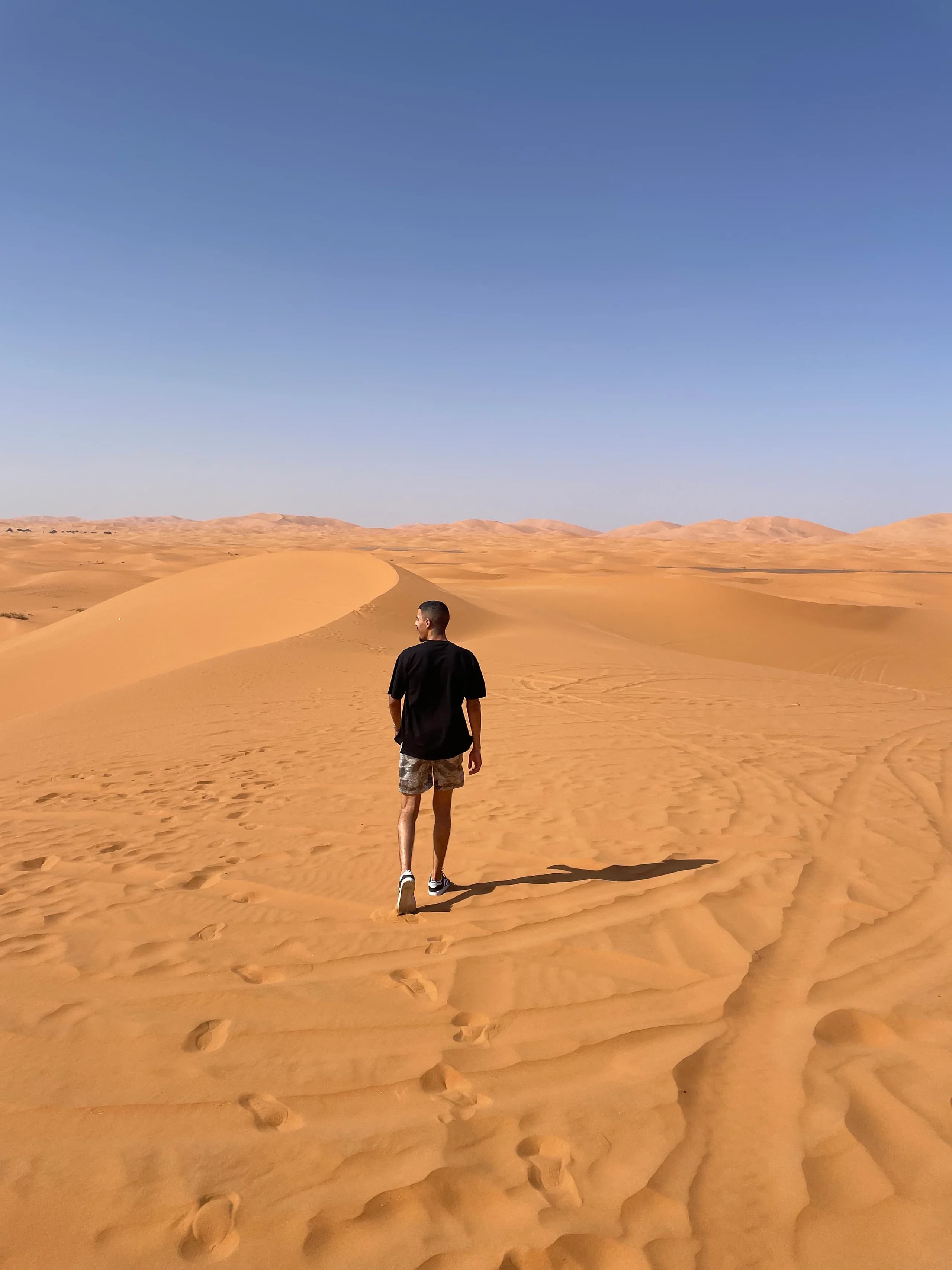 dunes