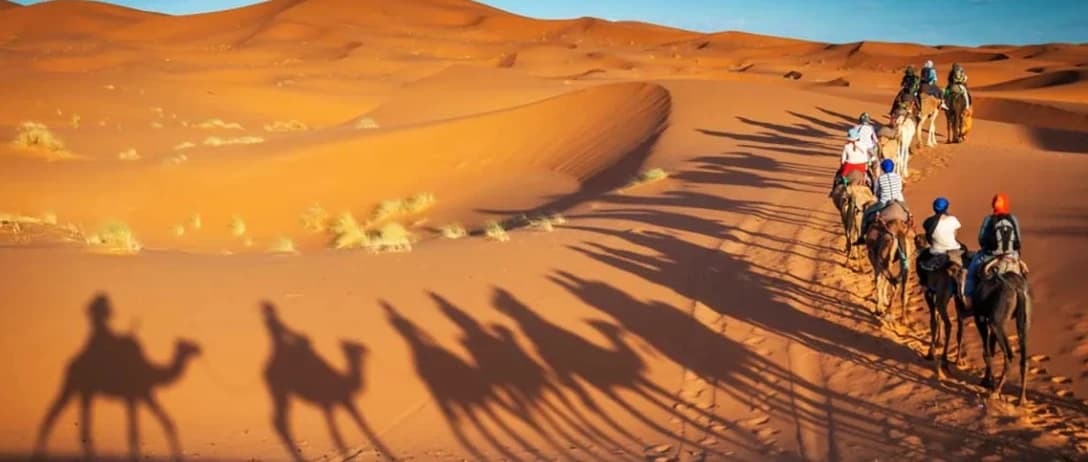 Camel trek in Zagora desert