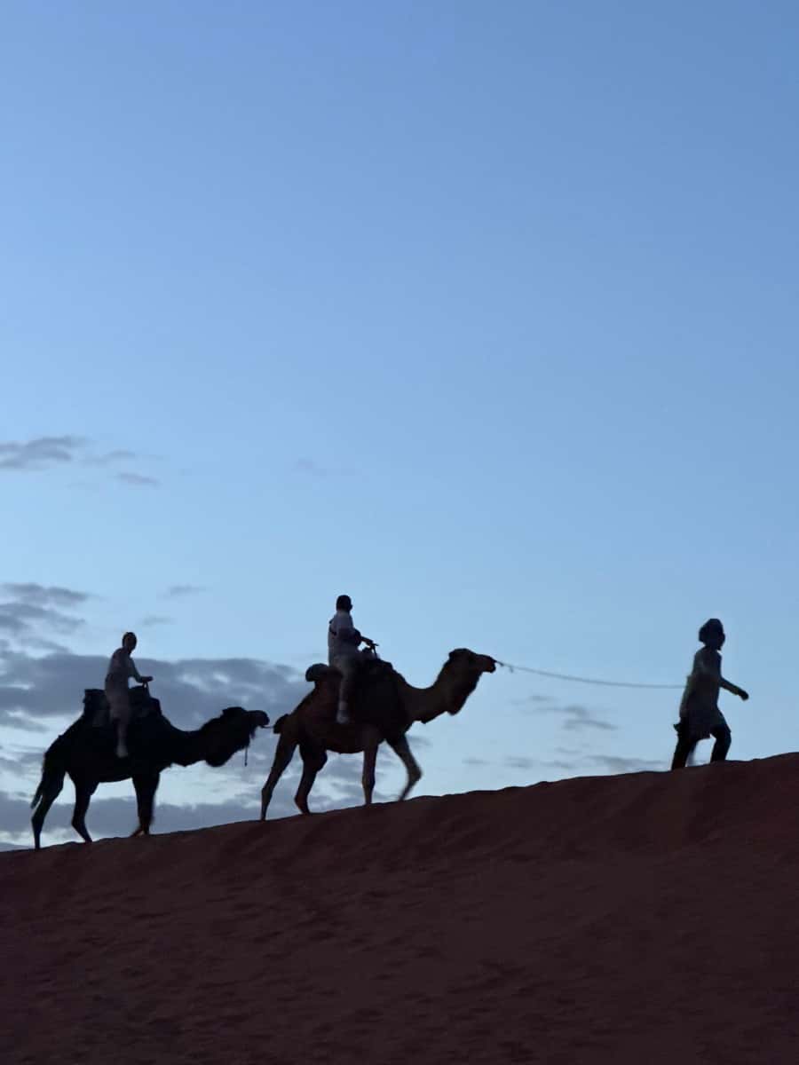 A guide leads two riders on camels along a dune ridge at dusk