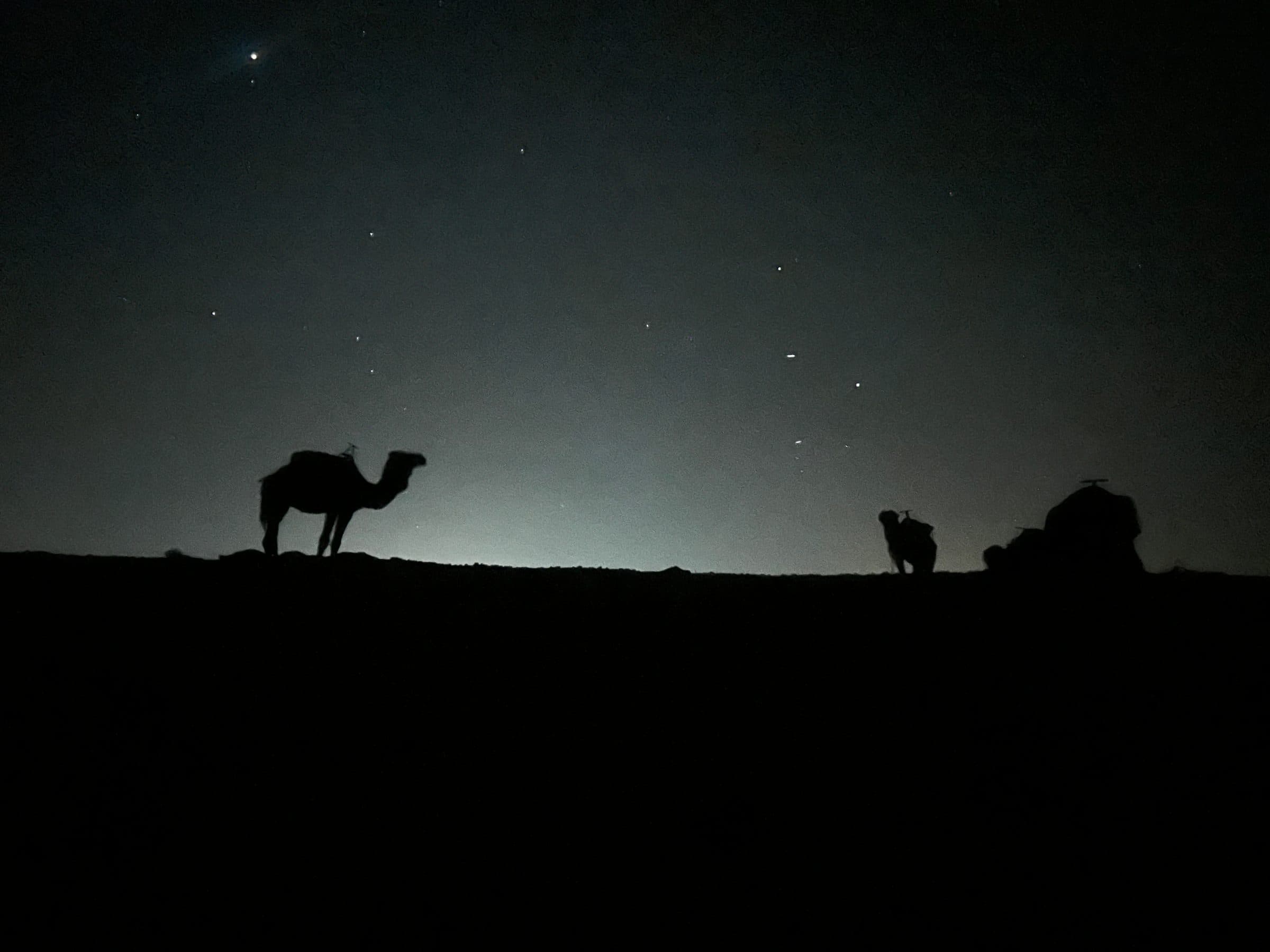 Camel trek in Zagora desert
