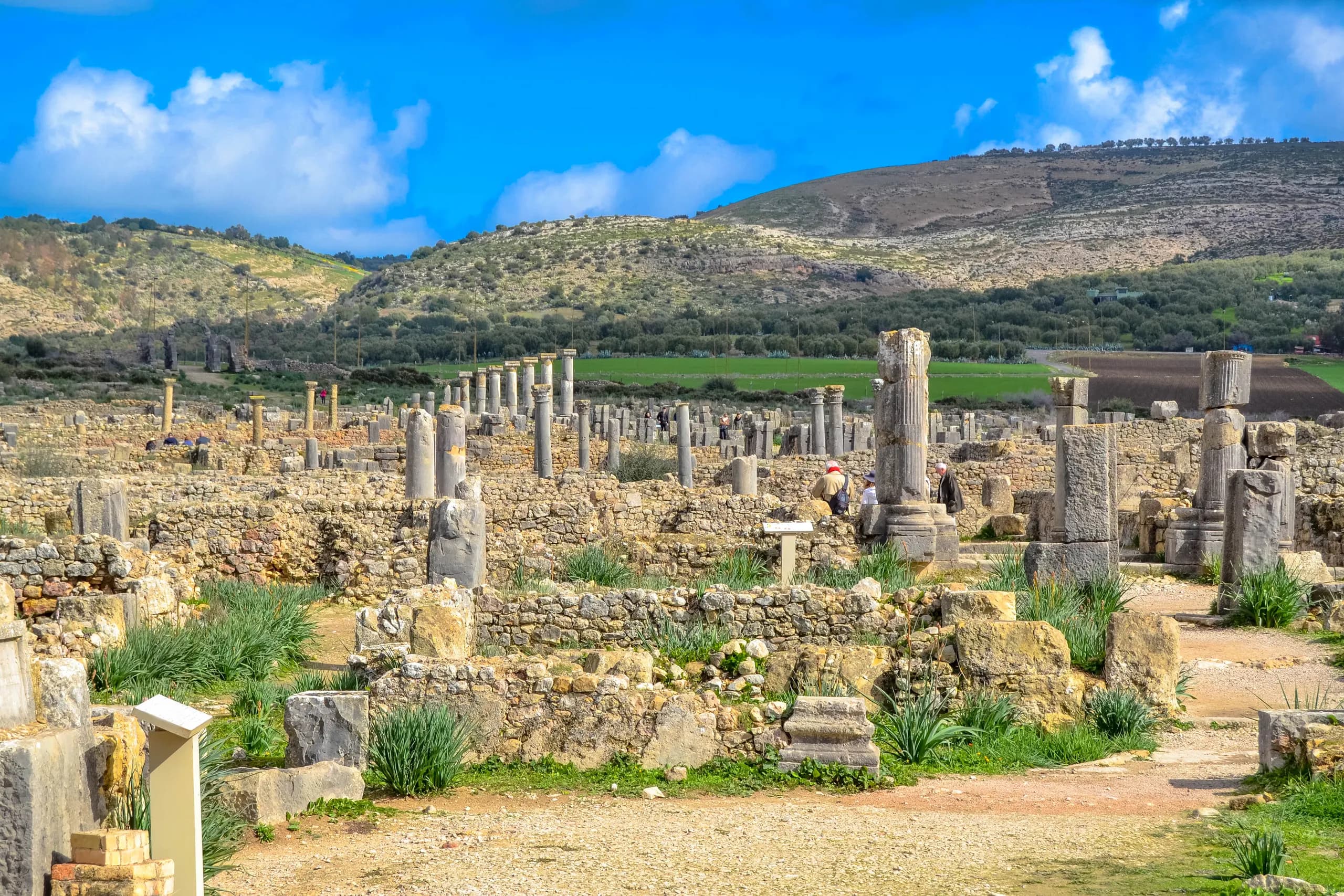 Full-Day Private Tour to Meknes and Volubilis from Fes