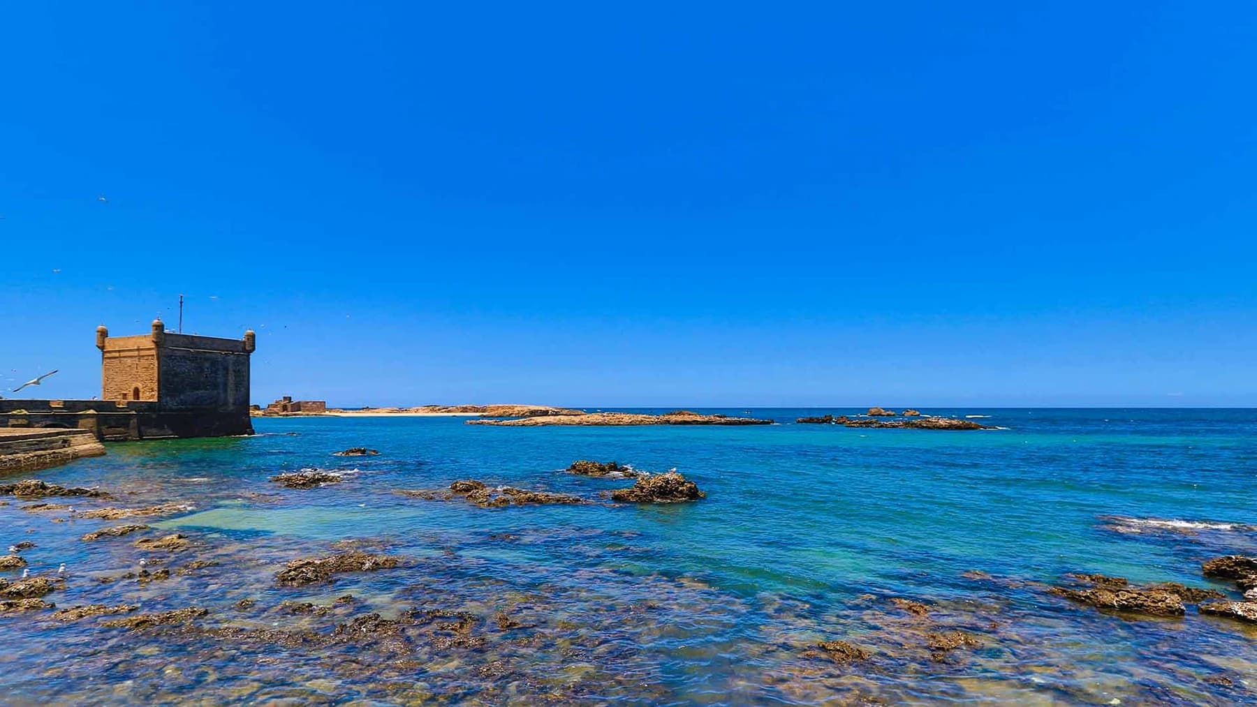 Full-Day Private Tour to Rabat from Casablanca