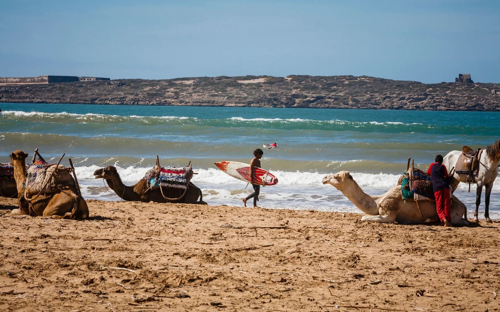 Full-Day Private Tour to Rabat from Casablanca