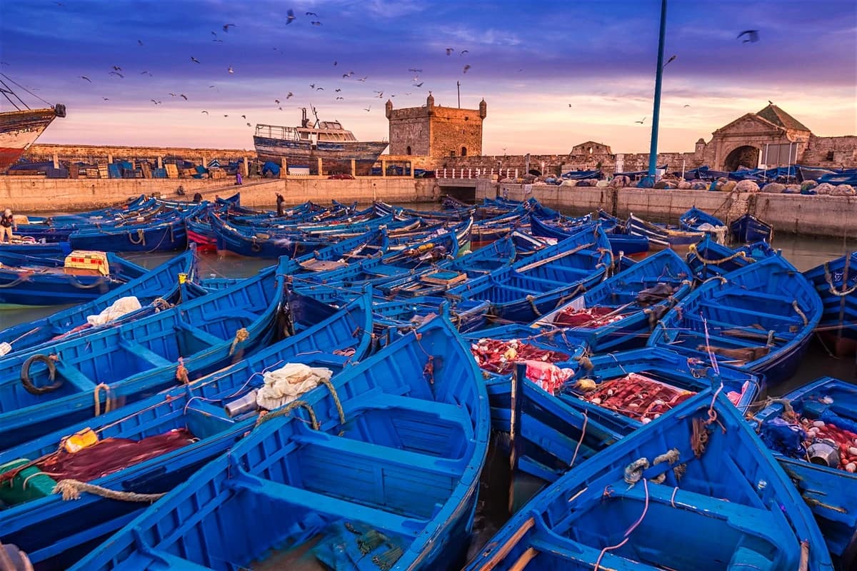 Full-Day Private Tour to Essaouira the Ancient Mogador City and Coast from Marrakech