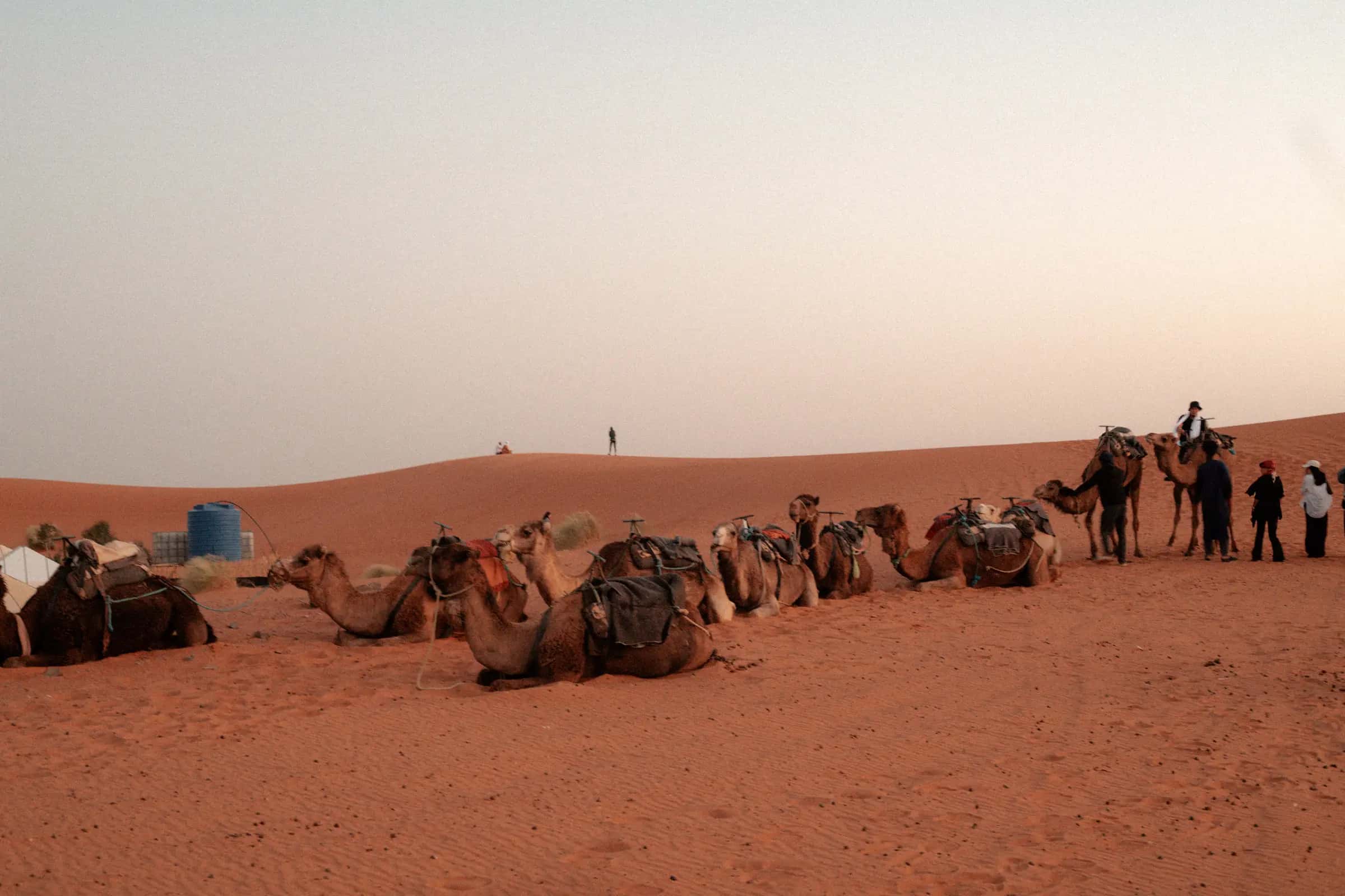 A group of travellers together in the Moroccan desert