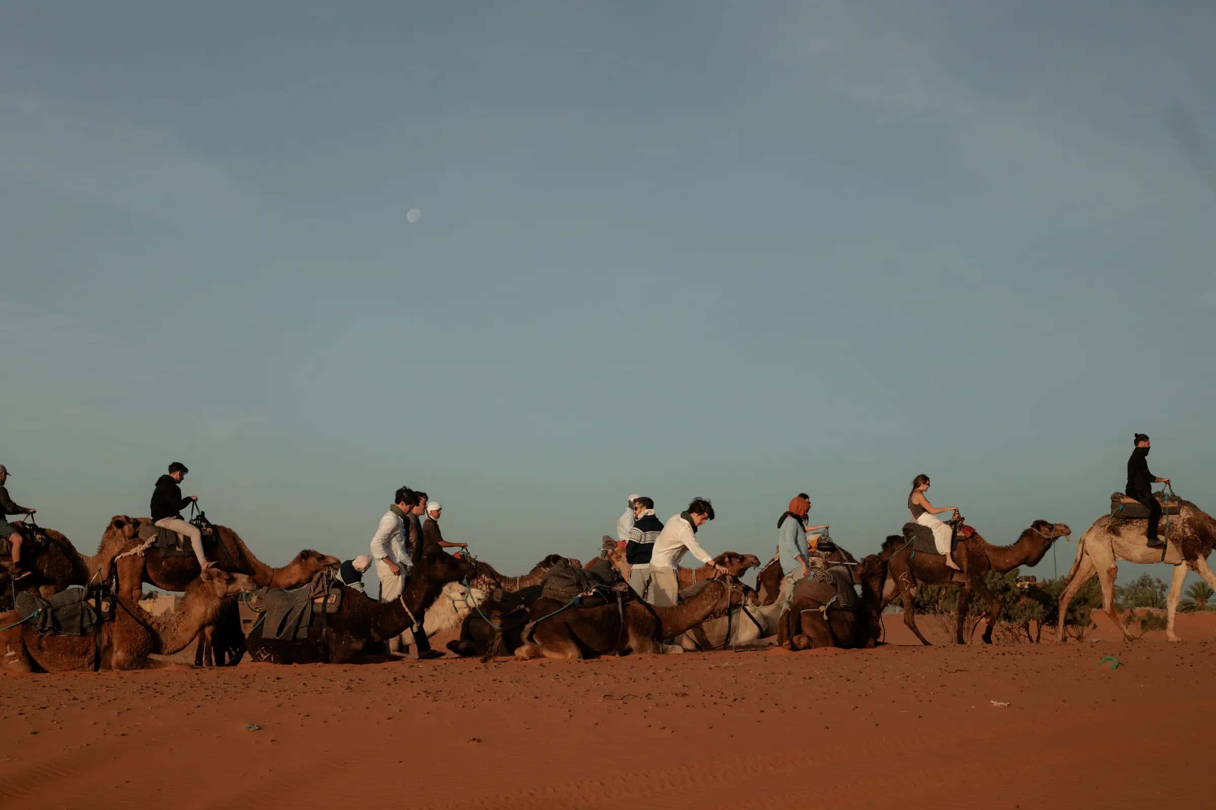 A group of international travellers standing on a sand dune